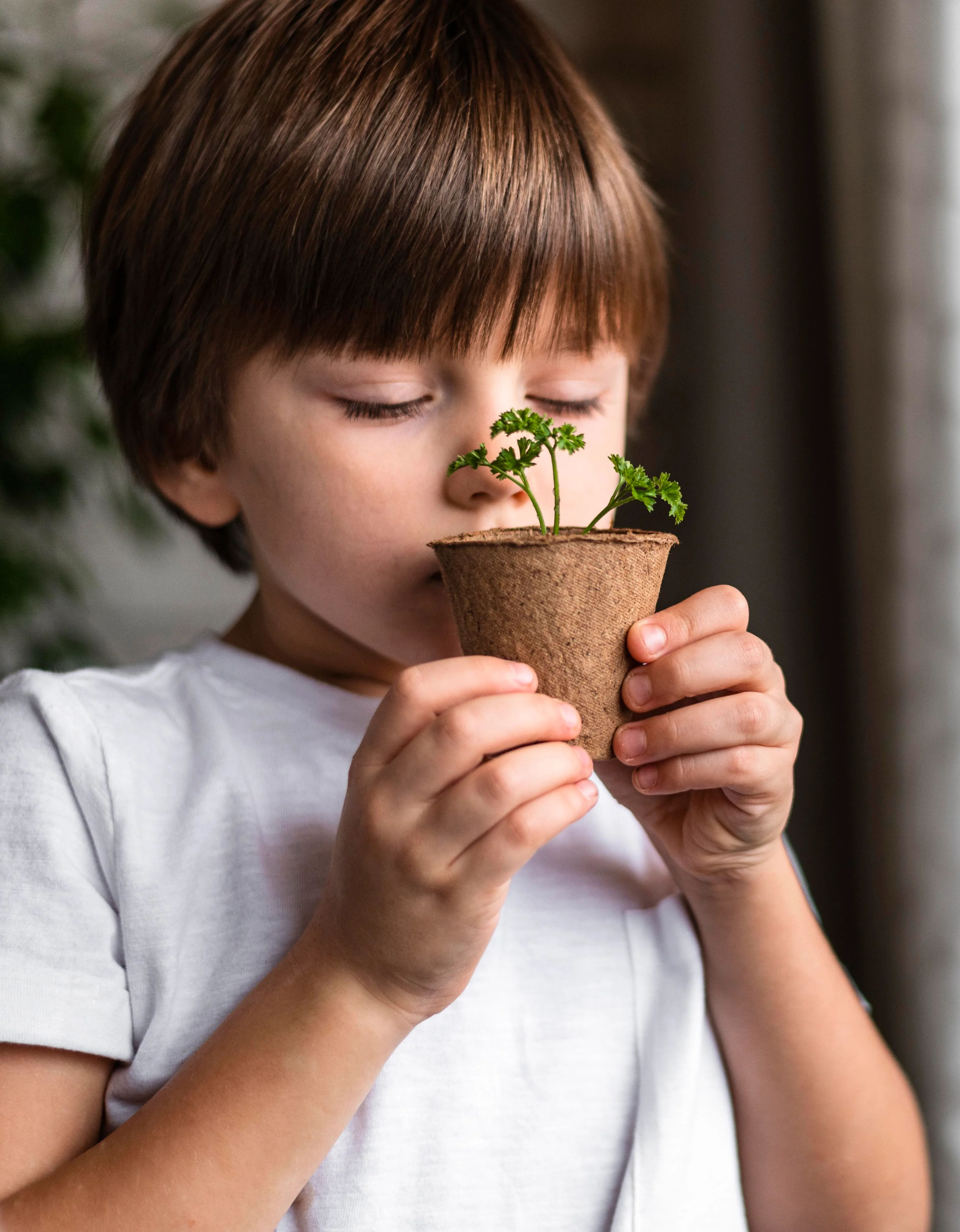 Brain Development in Children