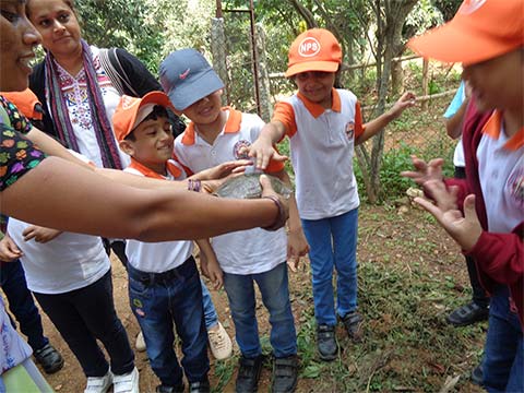 Field Trip to the Farm, Grades 1-5