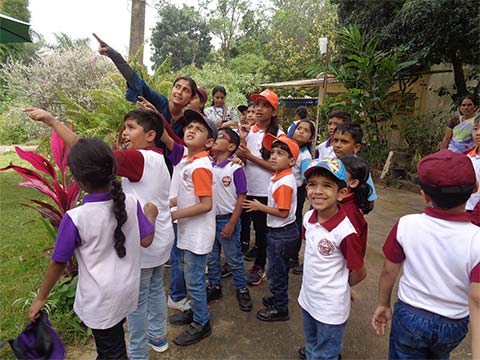 Field Trip to the Farm, Grades 1-5