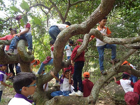 Field Trip to the Farm, Grades 1-5