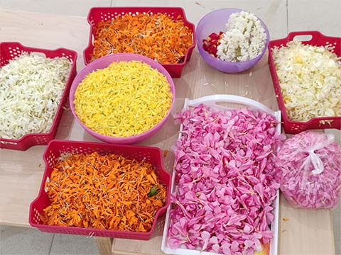 Onam Celebrations - Montessori