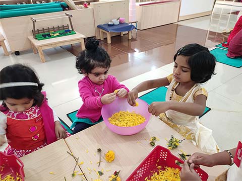 Onam Celebrations - Montessori